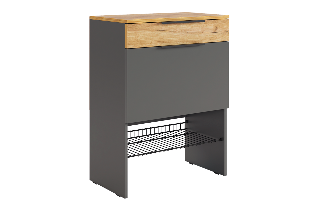 Баско Обувница (графит/дуб крафт золотой)